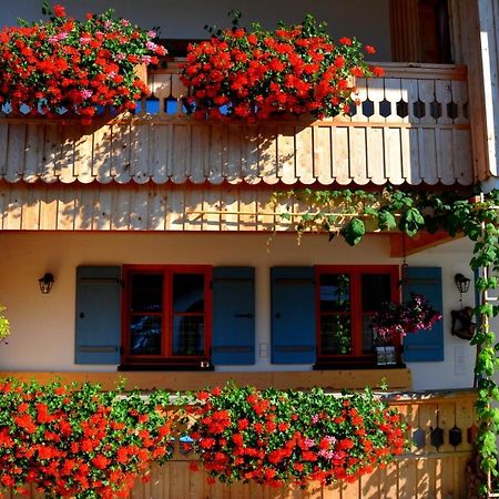 Gaestehaus Wild-Schuetz Schwangau Extérieur photo