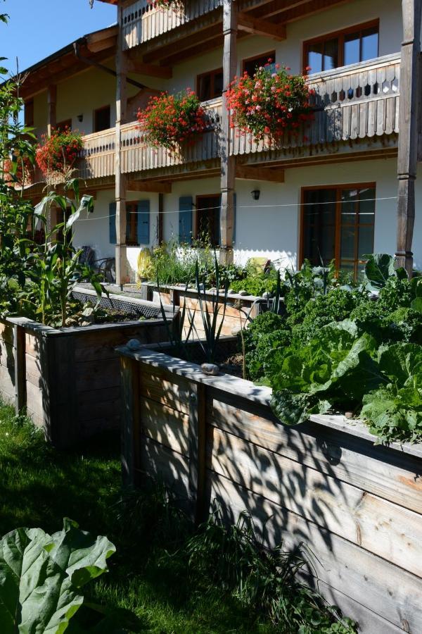 Gaestehaus Wild-Schuetz Schwangau Extérieur photo